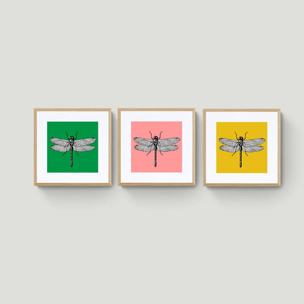 5 Set Dragonfly Color