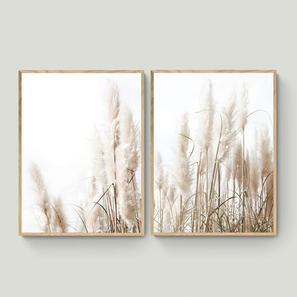 Canvas Par Pampas