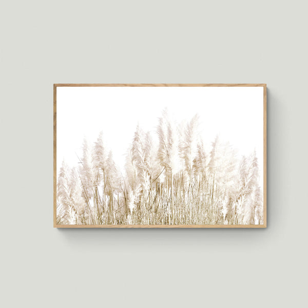 Canvas Pampas Horizontal