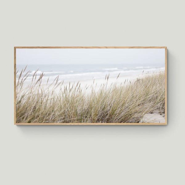 Canvas Beach Grass